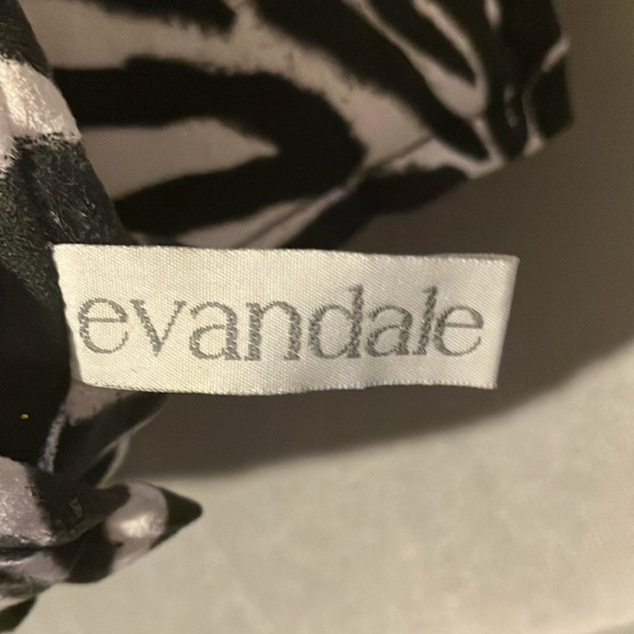 EVANDALE 15” x 15” Zebra Print Throw Pillows - Picture 2 of 3